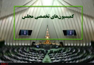 وظایف کمیسیون‌های تخصصی مجلس در کمیسیون‌ آیین‌نامه داخلی آسیب‌شناسی و بازنگری می‌شود