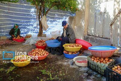  برداشت «اَنارِ مشایخ»