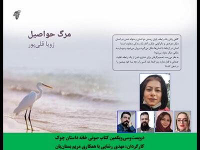 مجموعه داستان «مرگ حواصیل» نویسنده «زویا قلی­‌پور» بخش چهارم