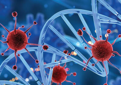  کشف راهکار دارویی جدید برای مهار پیشرفت سرطان پستان