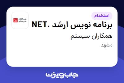  استخدام برنامه نویس ارشد .NET در همکاران سیستم
