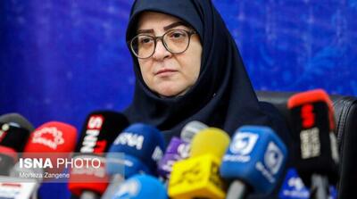مهاجرانی: برخی واردکنندگان غیرقانونی لوازم خانگی امروز کارخانه تولیدی دارند - مردم سالاری آنلاین