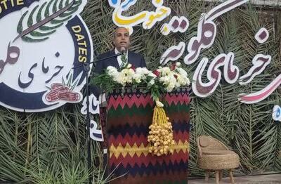  بلوچی: خرما و نخل نماد رزق و روزی مردم عنبرآباد است