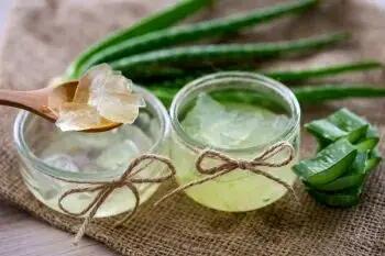  بهترین روش های نگهداری ژل آلوئه ورا در یخچال و فریزر
