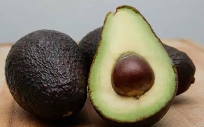  نحوه کاشت آووکادو؛ نکات مهم نگهداری و فروش میوه پر خاصیت