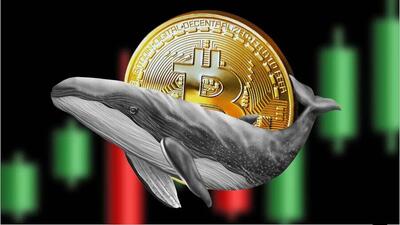 بیت‌کوین در سوم آبان با عبور از ۱۱۳ هزار دلار، دوباره تاج پادشاهی کریپتو را بر سر گذاشت!