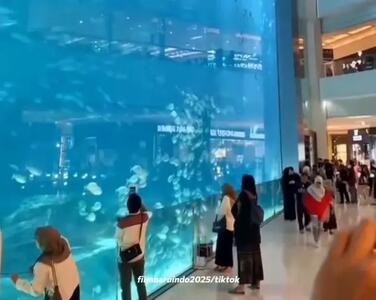  لحظه فرو ریختن بزرگترین آکواریوم جهان در عربستان؛ ترک هولناک روی شیشه و سلام کوسه ها