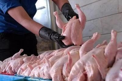 واردات گوشت مرغ از اوراسیا آزاد شد؛ مجوز رسمی برای تنظیم بازار صادر شد