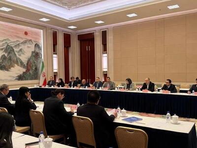 دیدار مدیرعامل شرکت ملی صنایع مس ایران با معاون وزیر منابع طبیعی چین