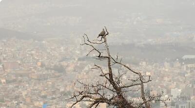آلودگی هوا در ۱۰ شهر خوزستان