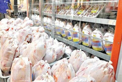 واردات گوشت مرغ از اوراسیا مجاز شد