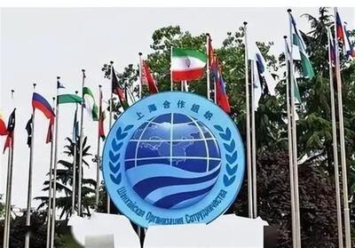 نقش سازمان شانگهای در بازتوزیع قدرت جهانی؛ چین در آستانه تثبیت هژمونی آسیایی - تسنیم