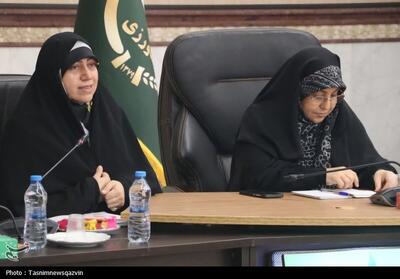 سهم 90 درصدی قزوین در بازار تولید زیتون کشور - تسنیم