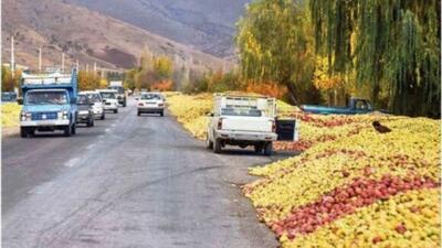  کاهش ۵۰ درصدی خرید سیب پادرختی؛ ۴۰۰ تُن روانه کارخانه‌ها شد