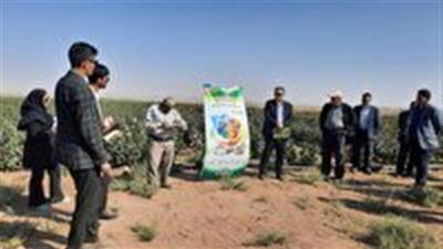  برگزاری نهمین کاروان ترویج الگوی کشت در اشتهارد
