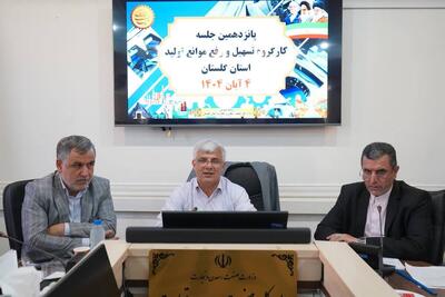  بررسی مشکلات 27 واحد تولیدی گلستان
