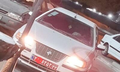  اکبری: برای عامل سگ‌گردانی با خودروی دولتی پرونده قضایی تشکیل شد