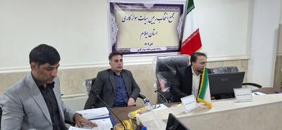  رییس هیات سوارکاری ایلام مشخص شد