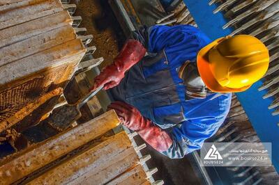  «لپیام» از علت افزیش زیان گفت