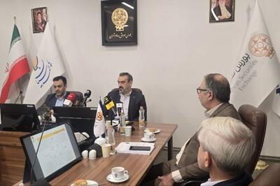 مدیرعامل بیمه پارسیان: سود پیش بینی شده را محقق می کنیم