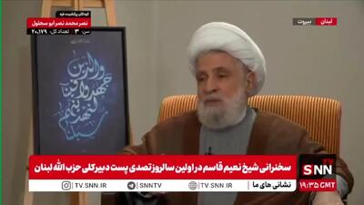 ببینید| شیخ نعیم قاسم: ما آسیب دیدیم و خسارت دادیم، اما پیروزی‌ها و توانایی‌هایمان نیز آشکار است