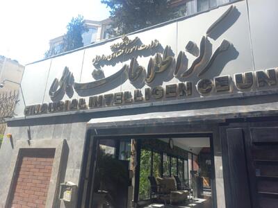  مرکز اطلاعات مالی: مکانیسم ماشه محصول تعلل در پیوستن به FATF بود