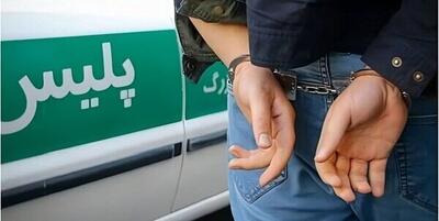  شرور میامی در غل و زنجیر + ویدئو | توضیحات پلیس