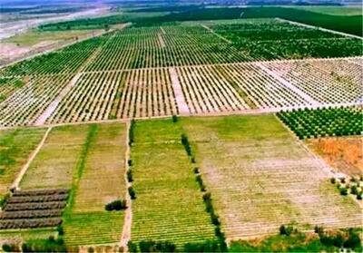  ۲۱ هزار هکتار از اراضی ملی چهارمحال و بختیاری به کشاورزان بازگردانده شد