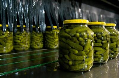  نبرد با تحریم و کاغذبازی، روایت کارافرین ملایری از مسیر سخت تولید تا صادرات