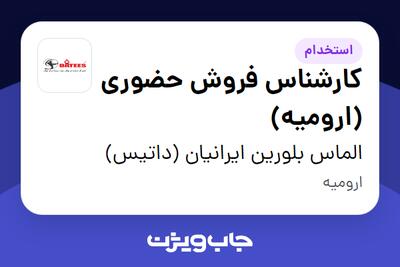  استخدام کارشناس فروش حضوری (ارومیه) - آقا در الماس بلورین ایرانیان (داتیس)
