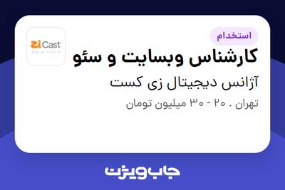  استخدام کارشناس وبسایت و سئو در آژانس دیجیتال زی کست