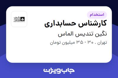  استخدام کارشناس حسابداری در نگین تندیس الماس
