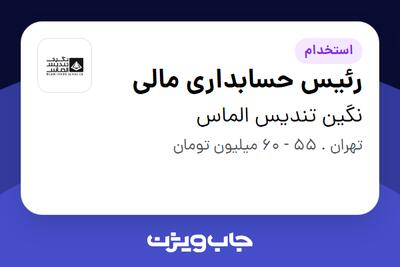  استخدام رئیس حسابداری مالی در نگین تندیس الماس