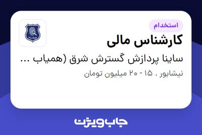  استخدام کارشناس مالی در ساینا پردازش گسترش شرق (همیاب 24)