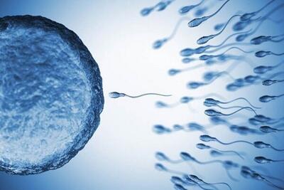  فاضل: ۱۳۴ نفر در مرکز درمان ناباروری کاشان IVF شده اند