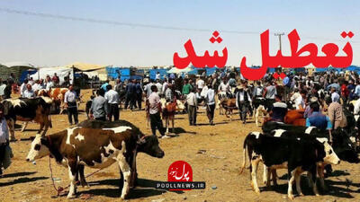 میادین دام آذربایجان غربی تعطیل شد