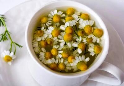  فواید بی نظیر بابونه برای معده و دستگاه گوارش