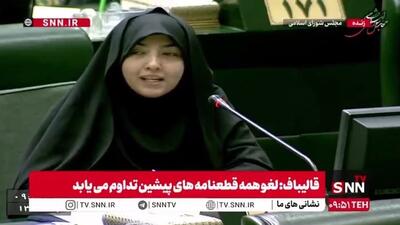  سعیدی: وزارت خارجه دیپلماسی اقتصادی را در تمامی وزارتخانه‌ها فعال بکند/ در برخی کشور‌ها رایزن بازرگانی نداریم