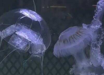  پهپاد زیردریایی چینی با طراحی عروس دریایی؛ تهدیدی جدید در عملیات‌های پنهان