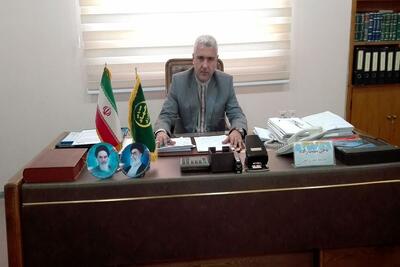  پایان برداشت خرما در آبادان/ بیش از ۶۲ هزار تن محصول نخیلات در آبادان برداشت شد