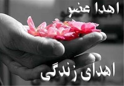 نوزدهمین اهدای عضو سال جاری در یزد رقم خورد - تسنیم