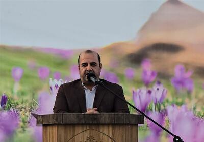 خسارت 50 همتی کشاورزان خراسان رضوی از ناترازی انرژی - تسنیم