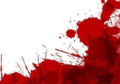 قتل یک نوجوان در درگیری در دهدشت؛ قاتل زیر 18 سال در کمتر از 8 ساعت دستگیر شد - تسنیم