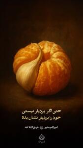 حتی اگر بردبار نیستی، خود را بردبار نشان بده