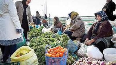  راه اندازی بازار ماهی فروشان در اردبیل/ دو روستای بازار در شهرستان اردبیل ایجاد می‌شود
