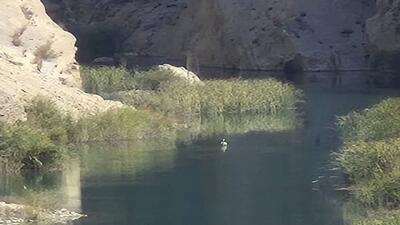  پرواز دوباره میهمان مهاجر بر فراز رودخانه قره آغاج