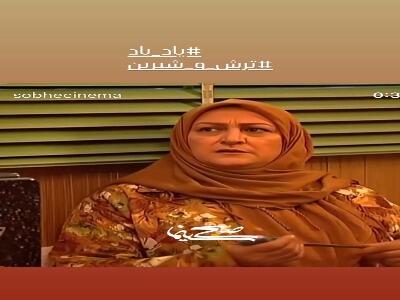  خاطره‌ بازی شهره سلطانی با سریال  ترش و شیرین