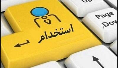 پلیس فتا: فریب استخدام دستگاه‌های دولتی در دیوار و شیپور را نخورید