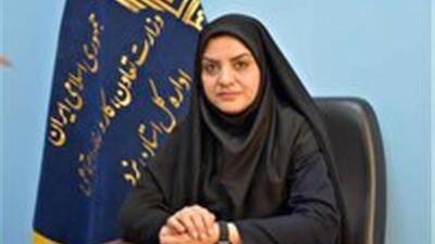  راه‌اندازی سامانه تلفنی دریافت گزارش به‌کارگیری اتباع غیرمجاز