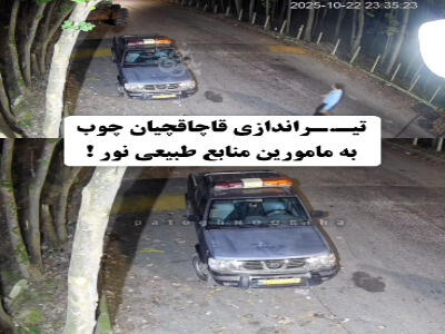  لحظه تیراندازی قاچاقچیان چوب به ماموران منابع طبیعی نور